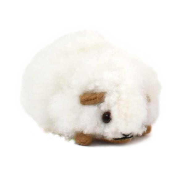 SMALL ALPACA GUINEA PIG