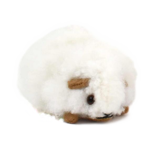 SMALL ALPACA GUINEA PIG