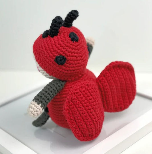 LADYBUG